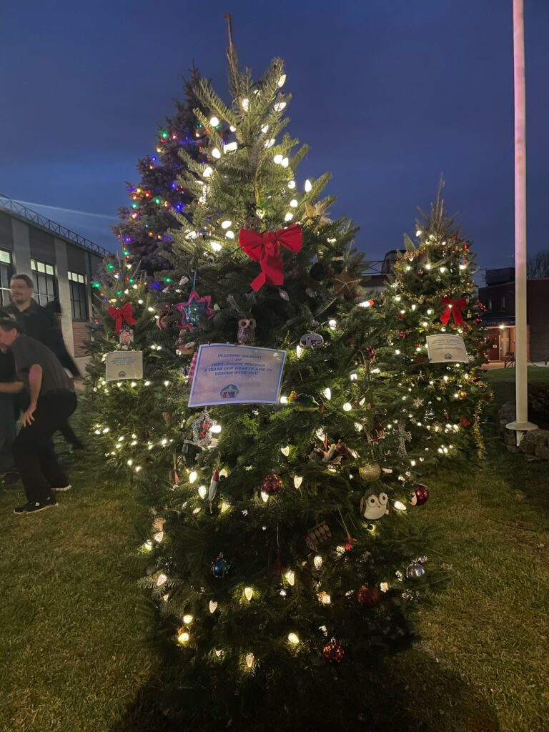 Freddy's memorial tree at the 2023 St. Teresa tree lighting